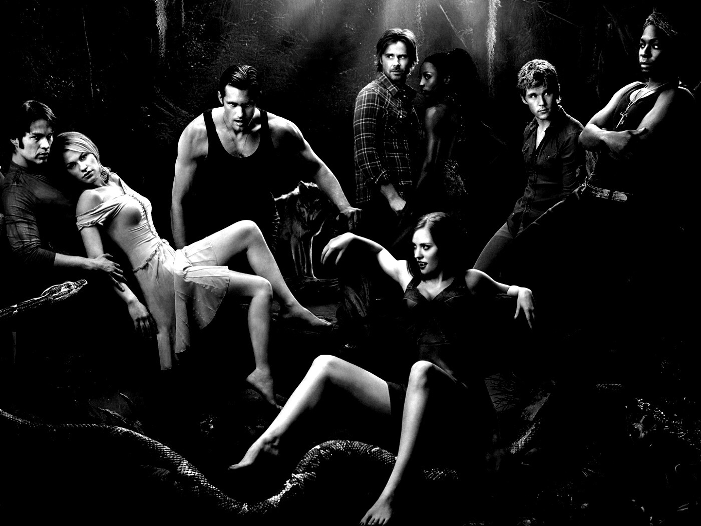 True blood обои