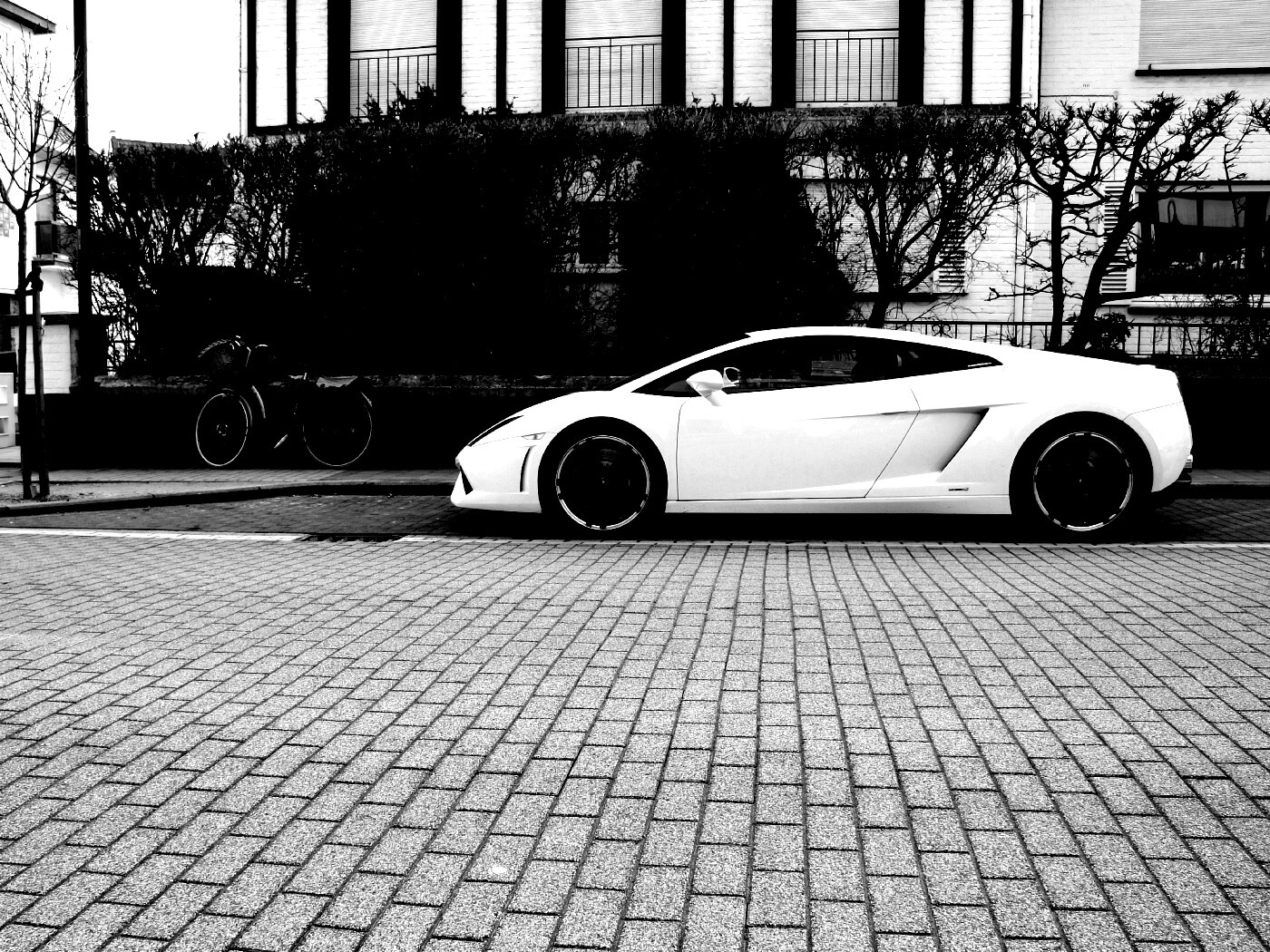 Белый Lamborghini обои