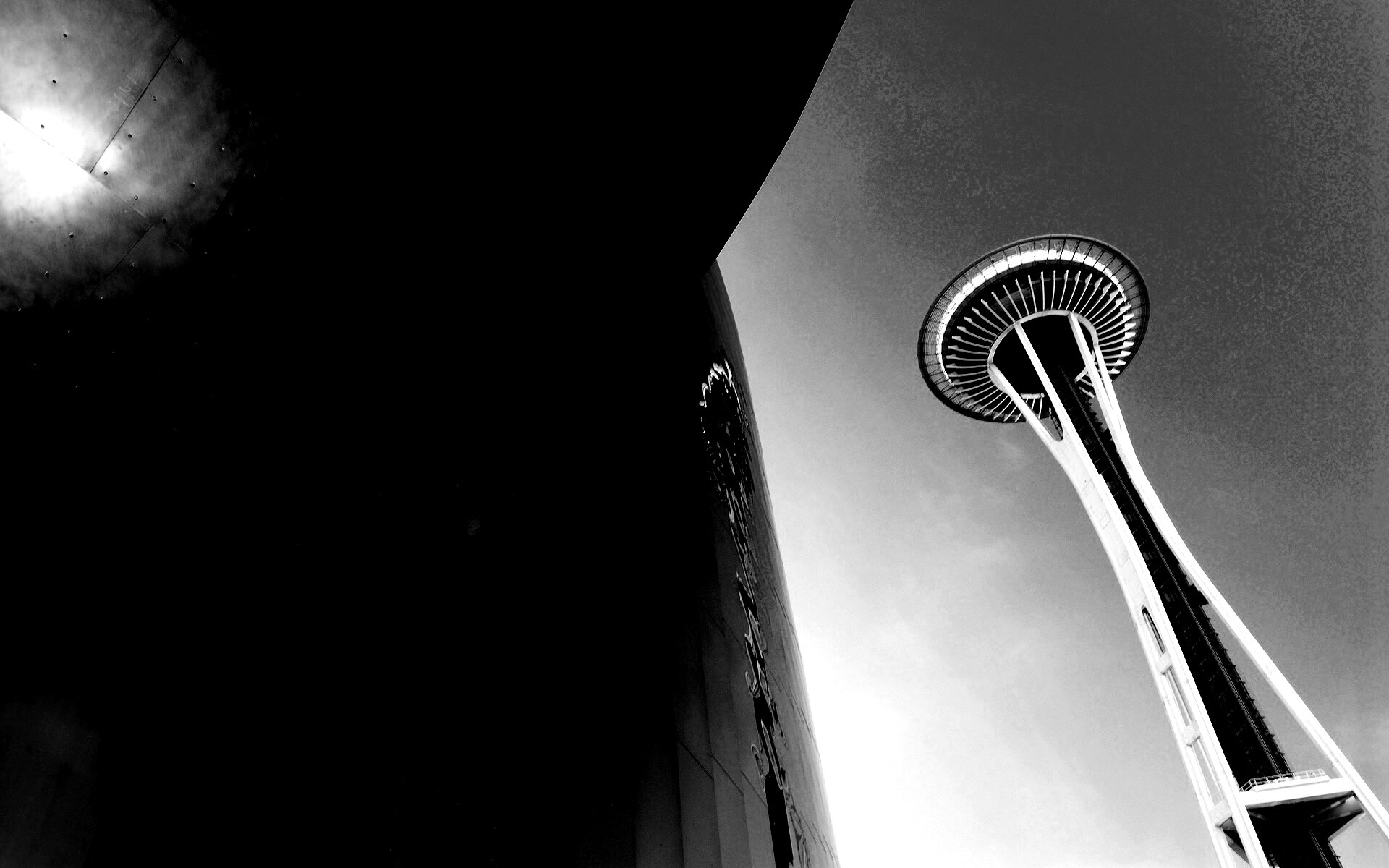 Space Needle Tower обои