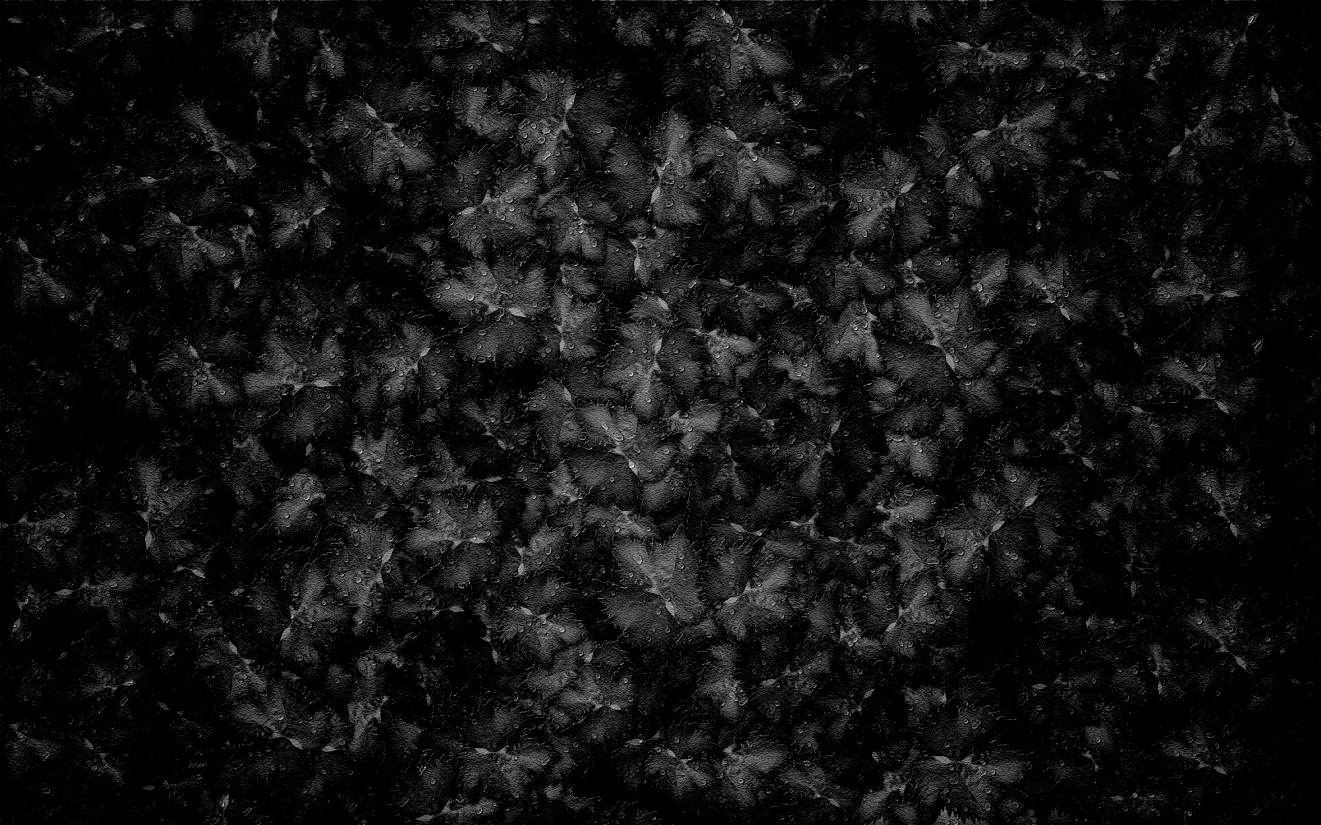 Осенние листья обои