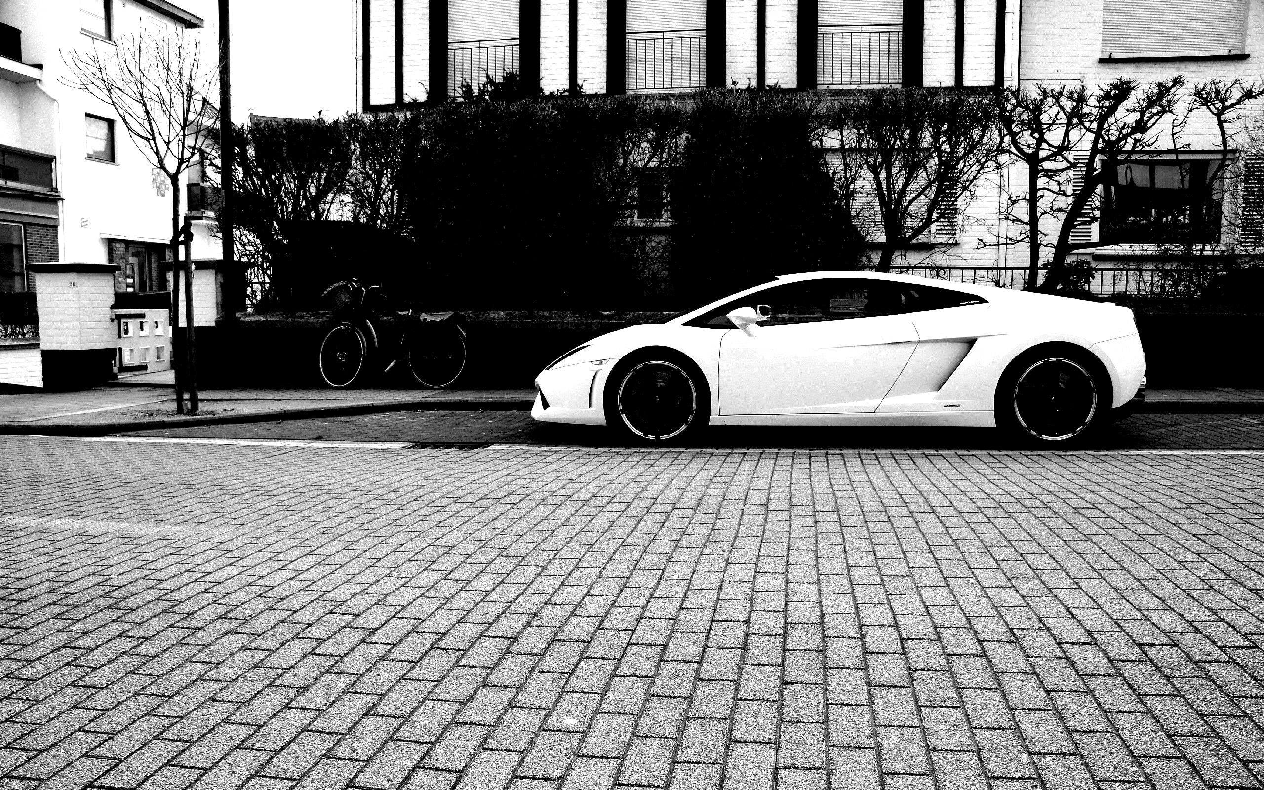 Белый Lamborghini обои