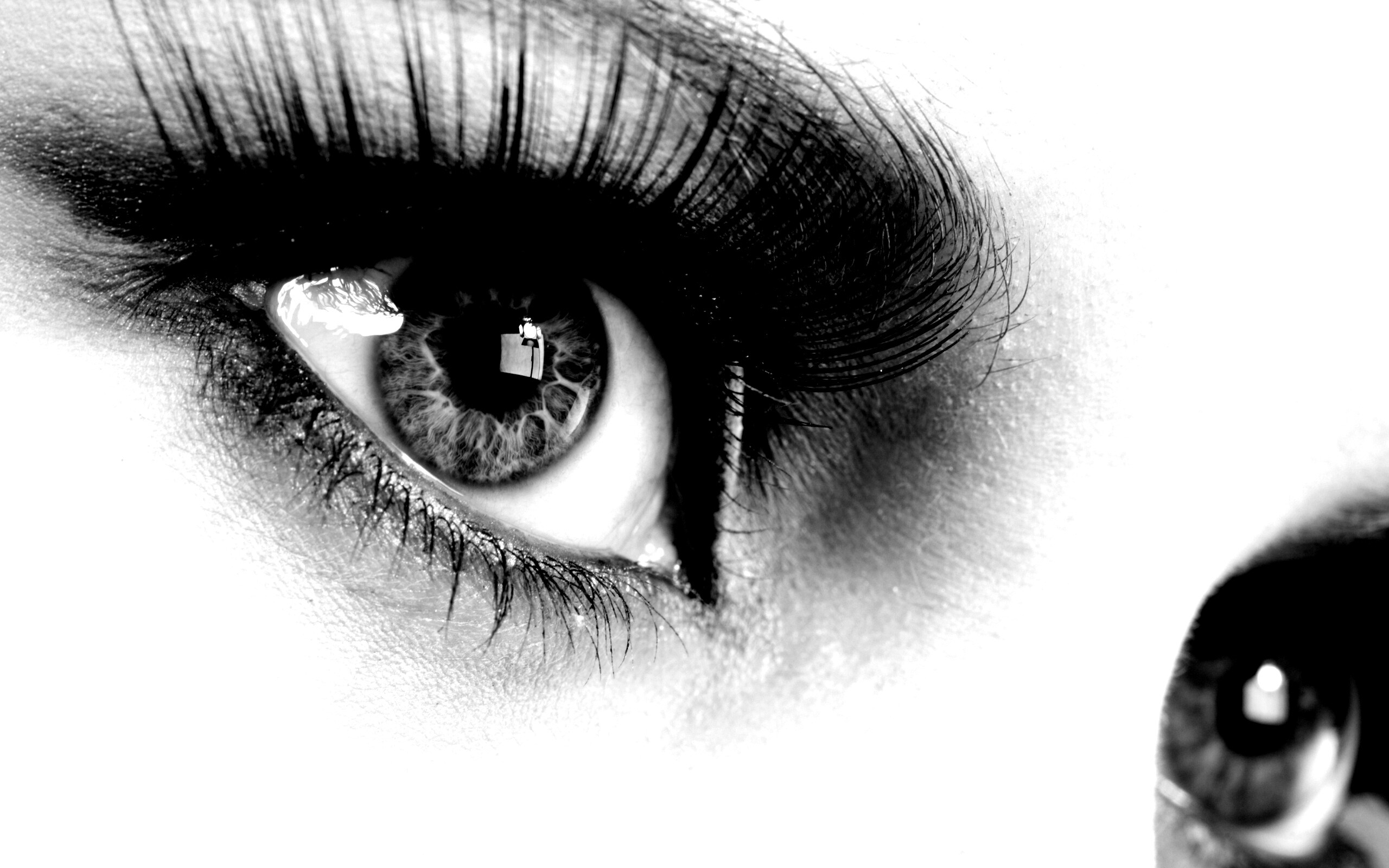 Глаза цвета стали обои