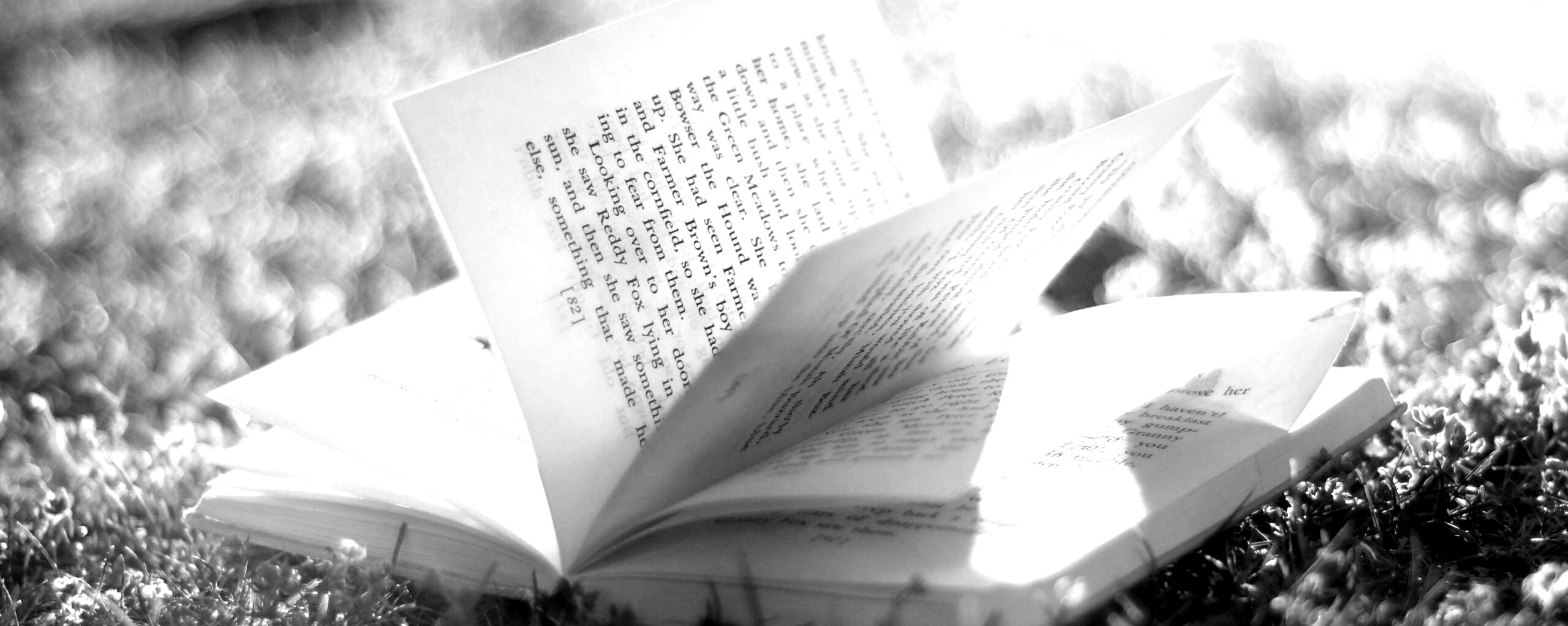 Книга в нежном свете обои