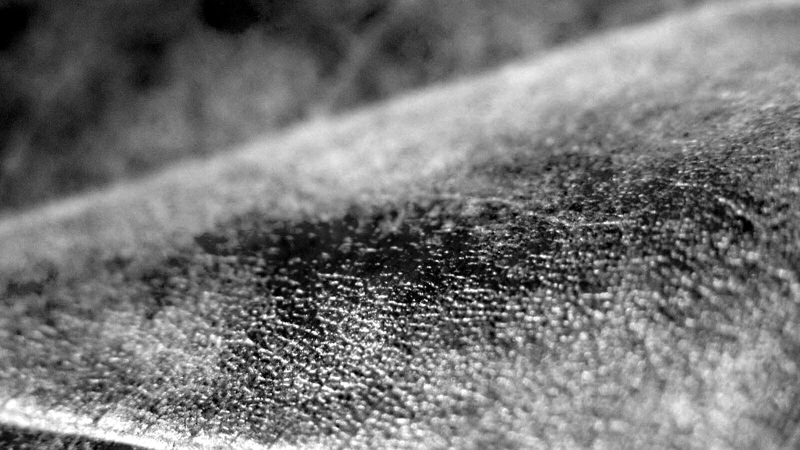 Повехность листа обои