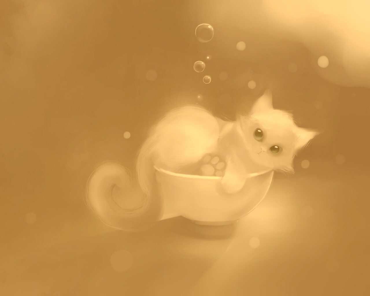 Котёнок в миске обои