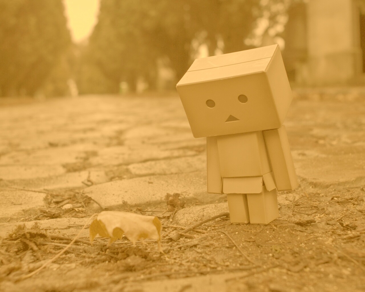 Danbo и первый осенний лист обои