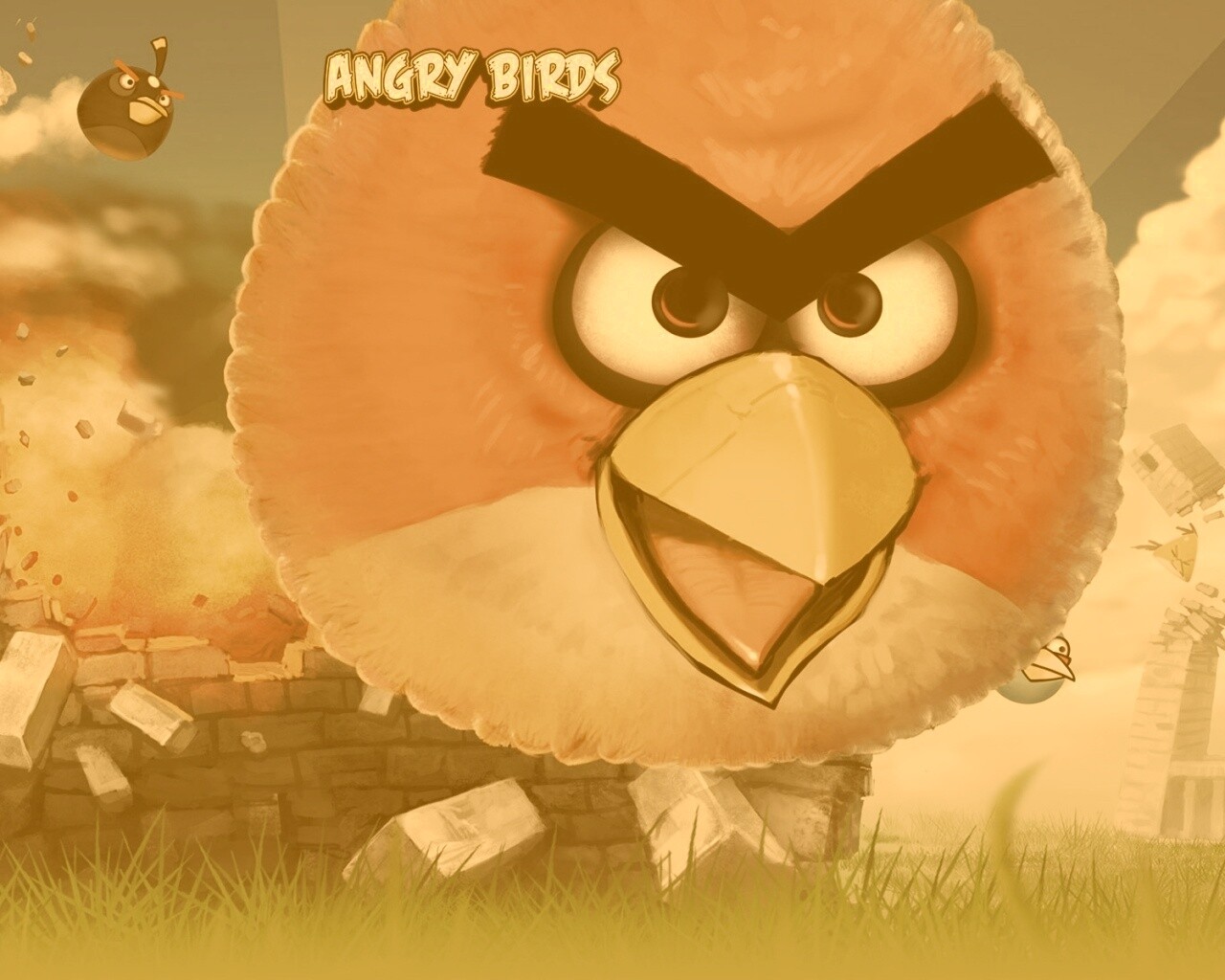 Angry Birds обои