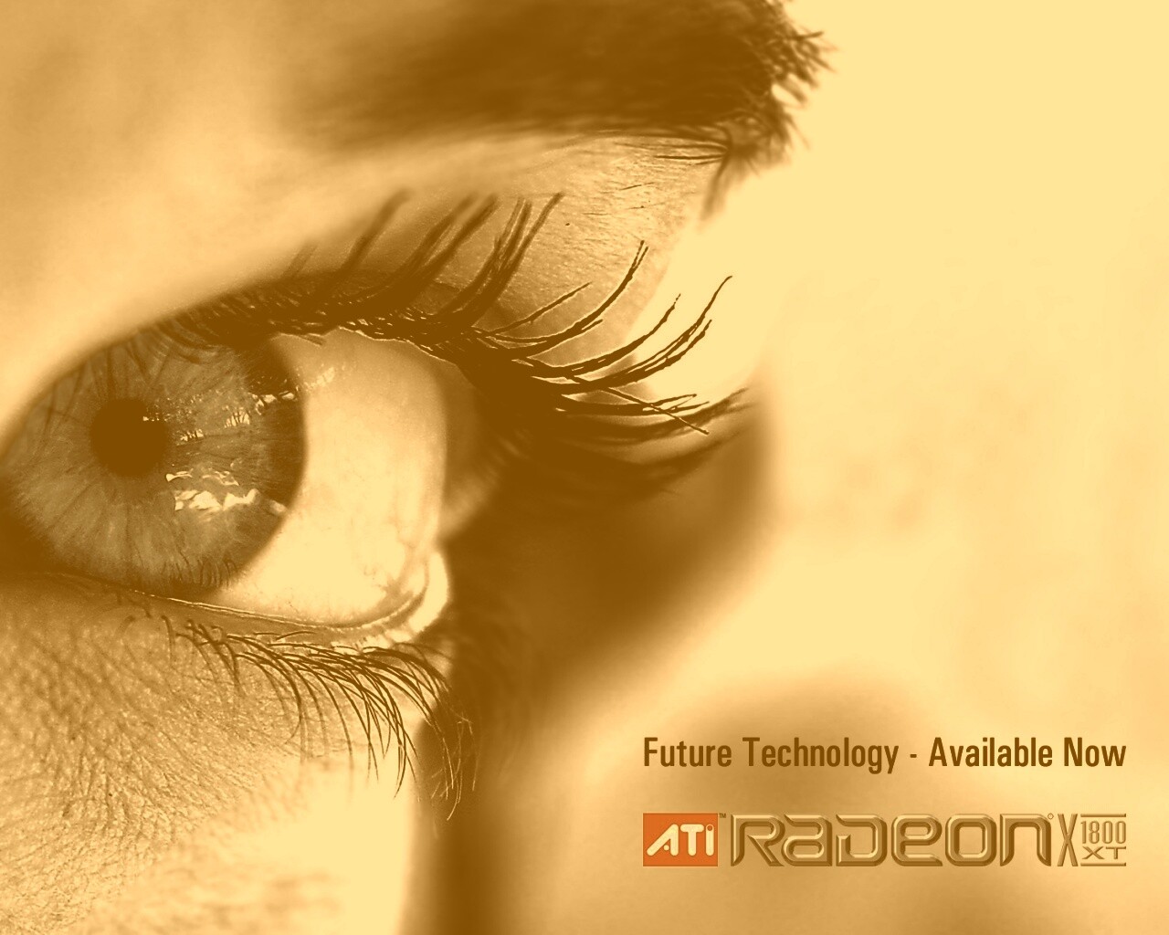 Ati Radeon Future Technology - available now обои