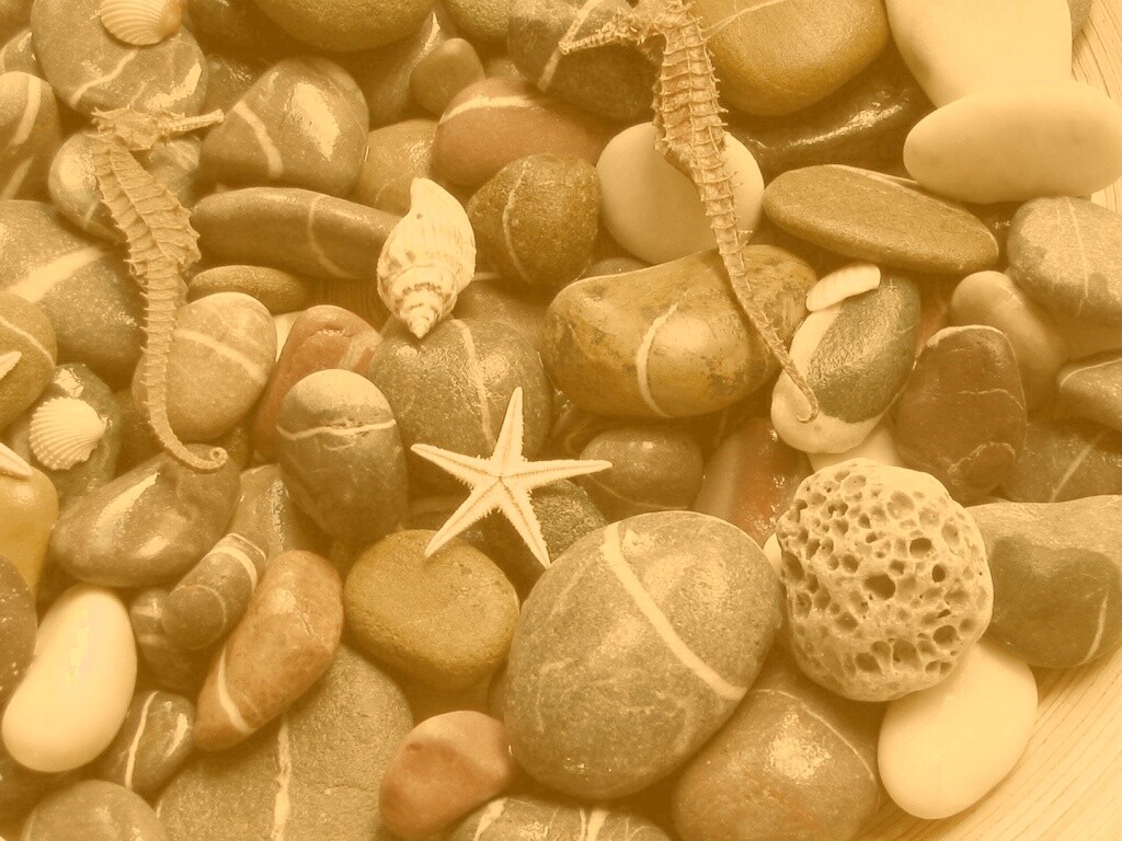 Морские камешки и фауна обои