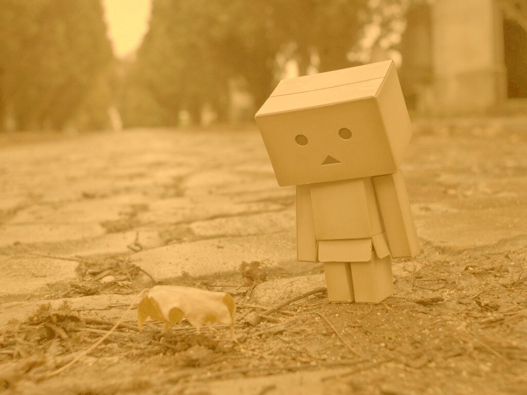 Danbo и первый осенний лист обои