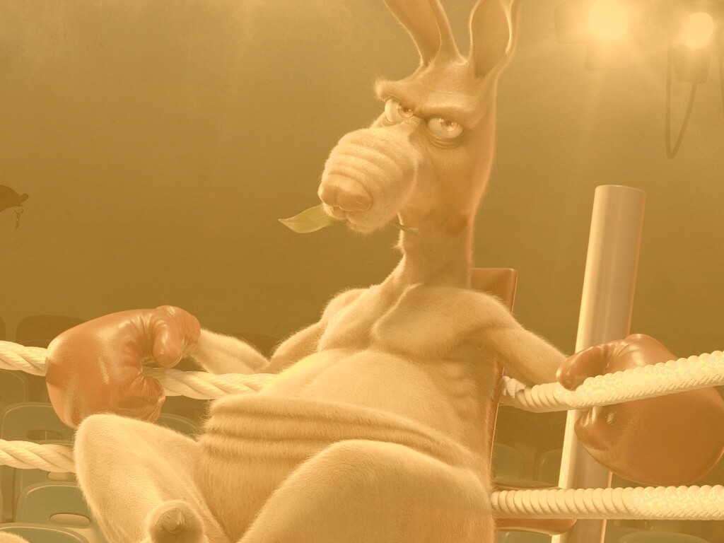 Кенгуру-боксер на ринге обои