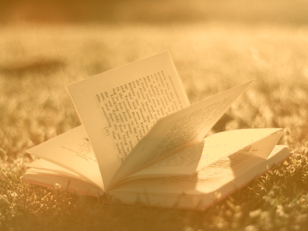 Книга в нежном свете обои