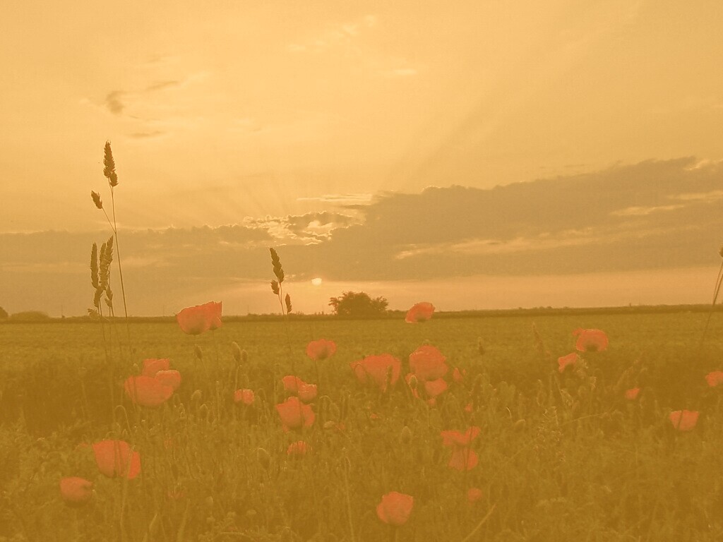 Закат обои