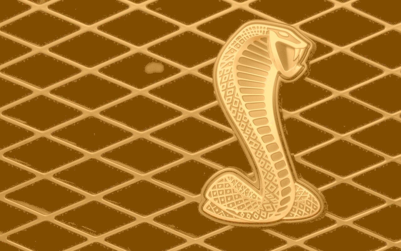 Логотипа Форда Шелби обои