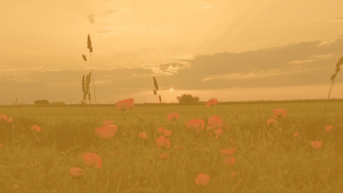 Закат обои