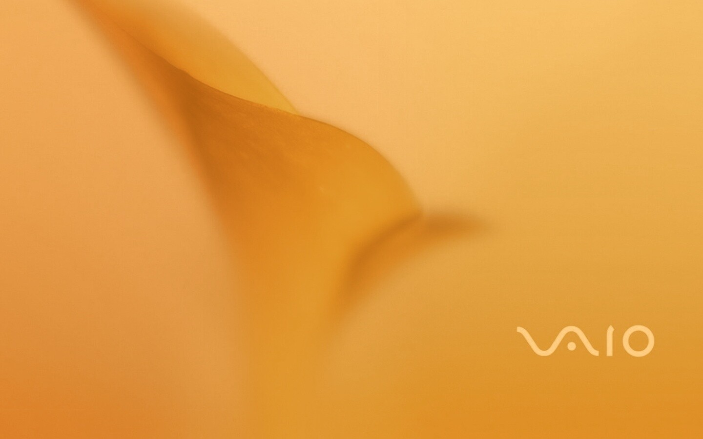 Цветок и логотип Vaio обои
