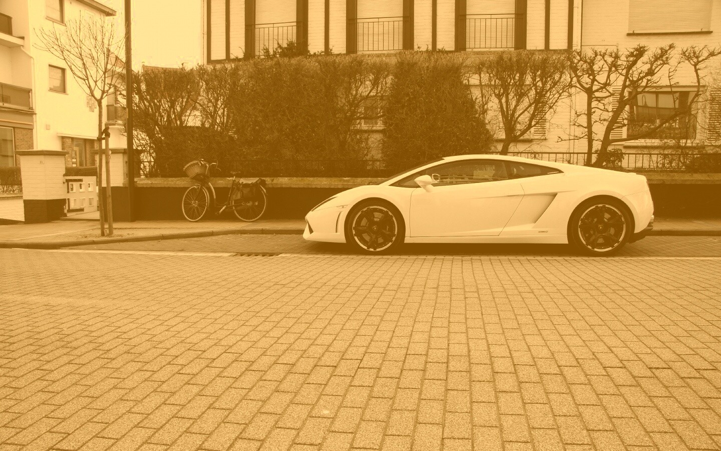 Белый Lamborghini обои