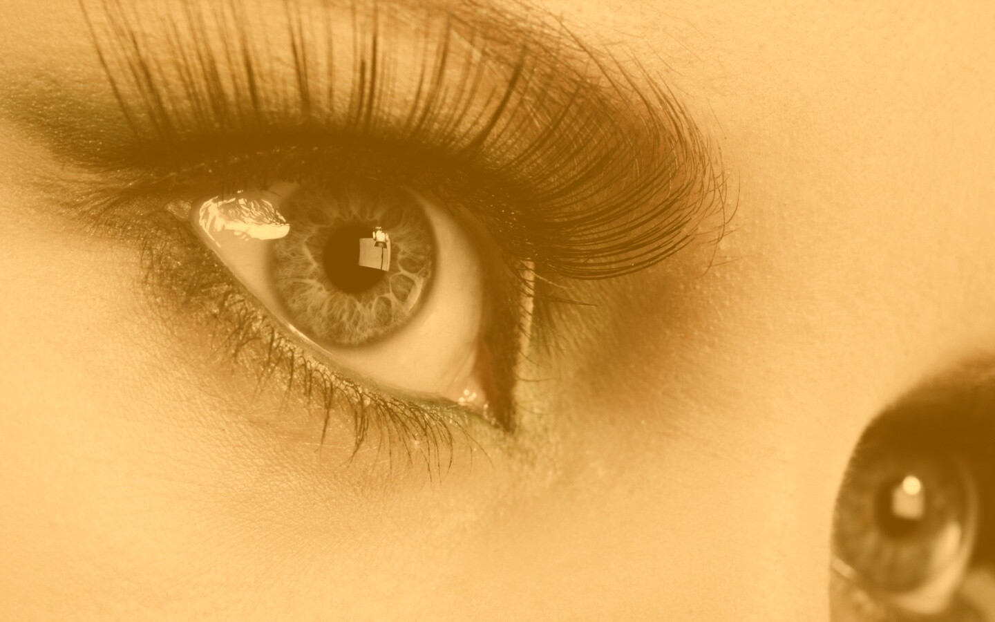 Глаза цвета стали обои