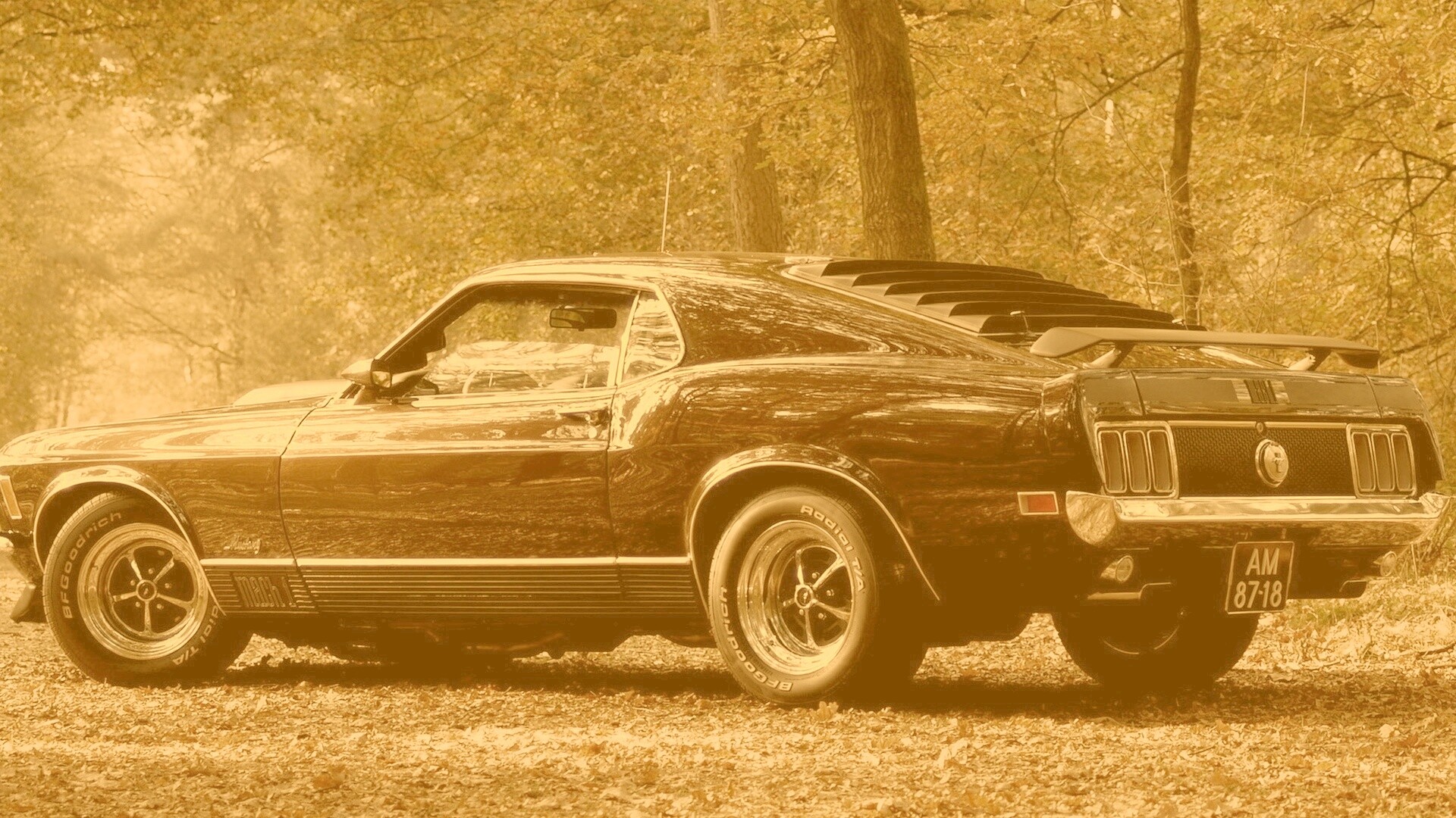 Ford обои