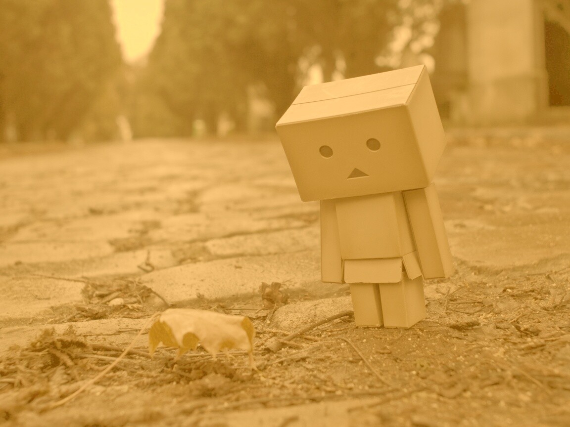 Danbo и первый осенний лист обои