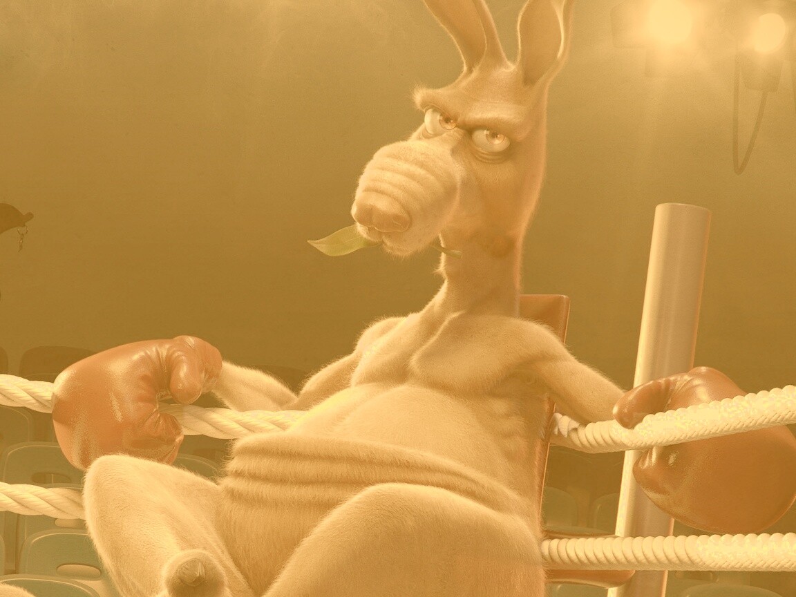 Кенгуру-боксер на ринге обои