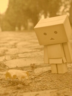 Danbo и первый осенний лист обои