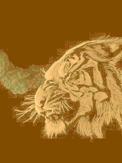 Рисунок грозного тигра обои
