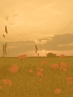 Закат обои