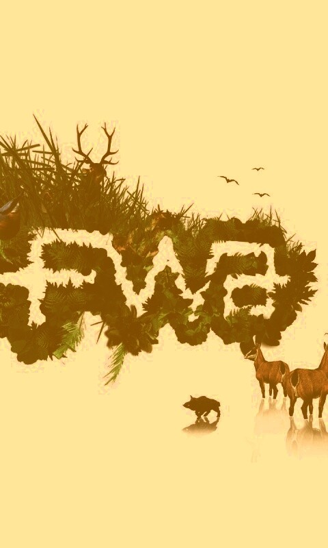FWA обои