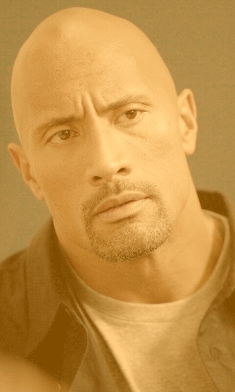 Dwayne johnson, Actor, Bald, Hair, Celebrity обои