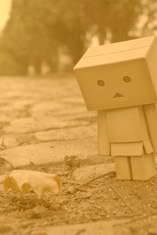 Danbo и первый осенний лист обои