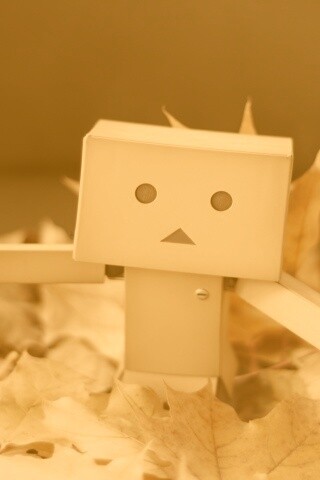  Yotsubato Danbo резвится листьях обои
