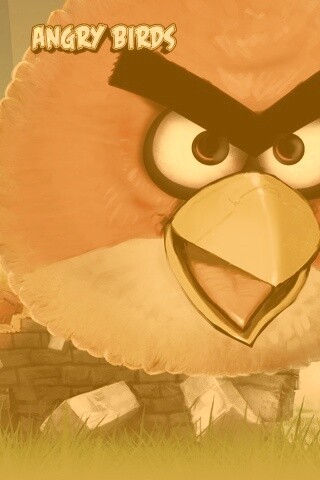 Angry Birds обои