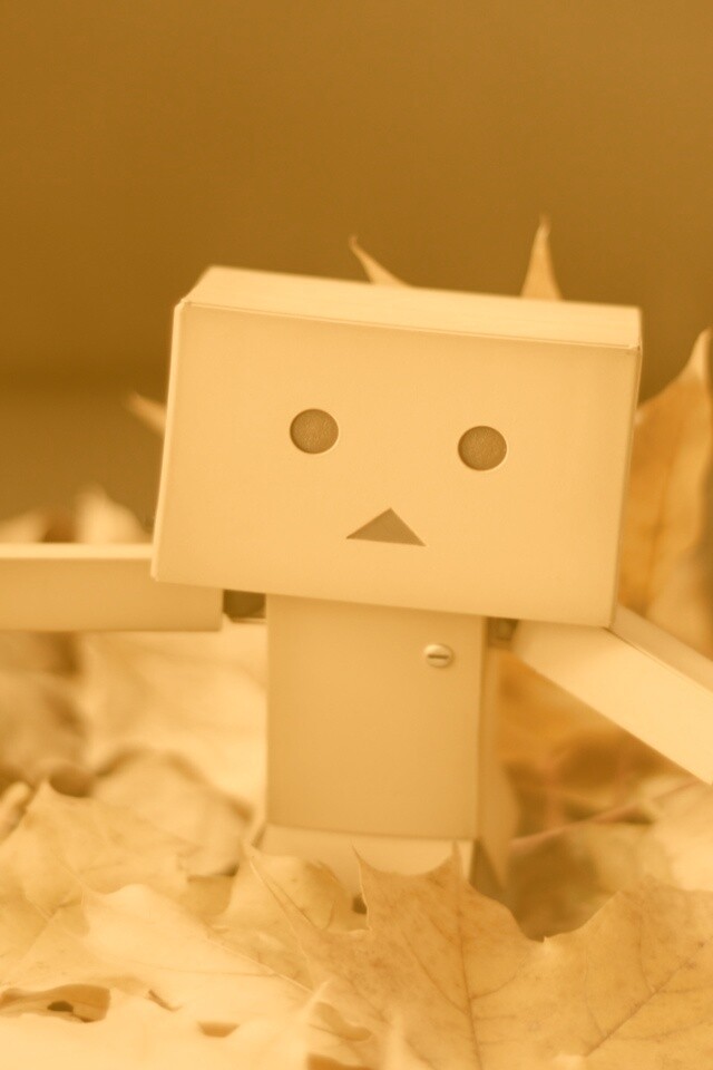  Yotsubato Danbo резвится листьях обои