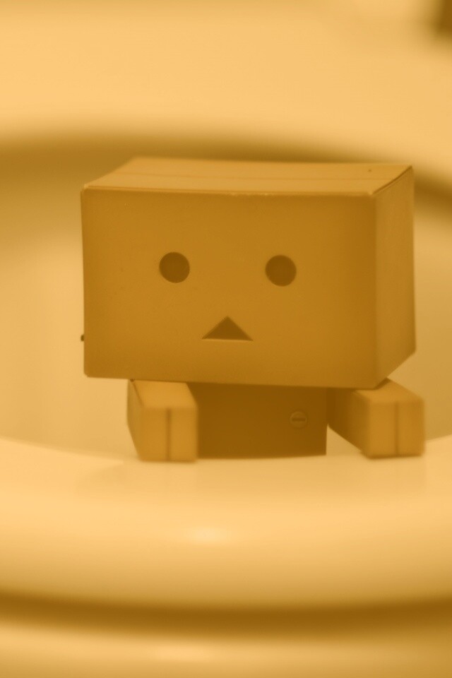 Danbo в унитазе обои