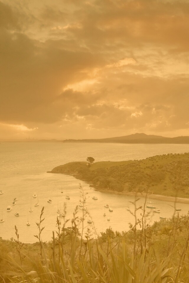 Waiheke Island, New Zealand обои