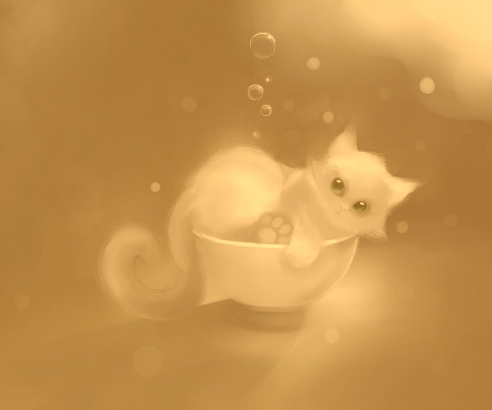 Котёнок в миске обои