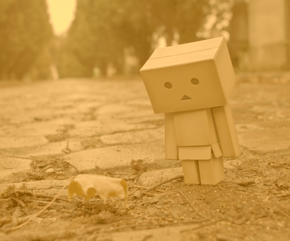 Danbo и первый осенний лист обои
