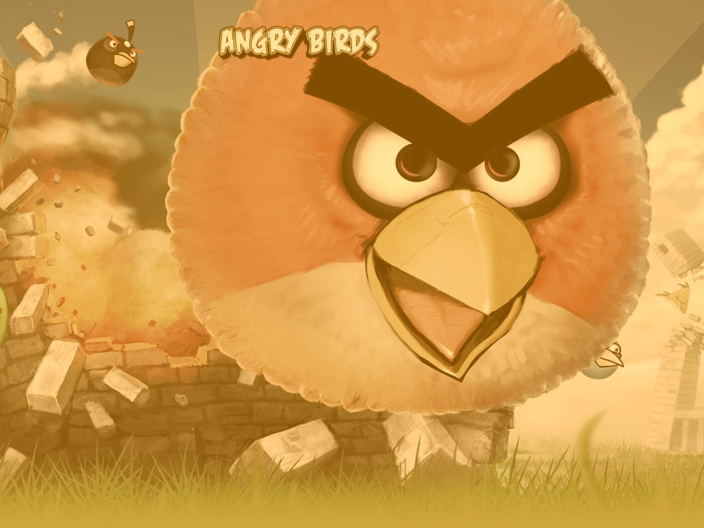 Angry Birds обои