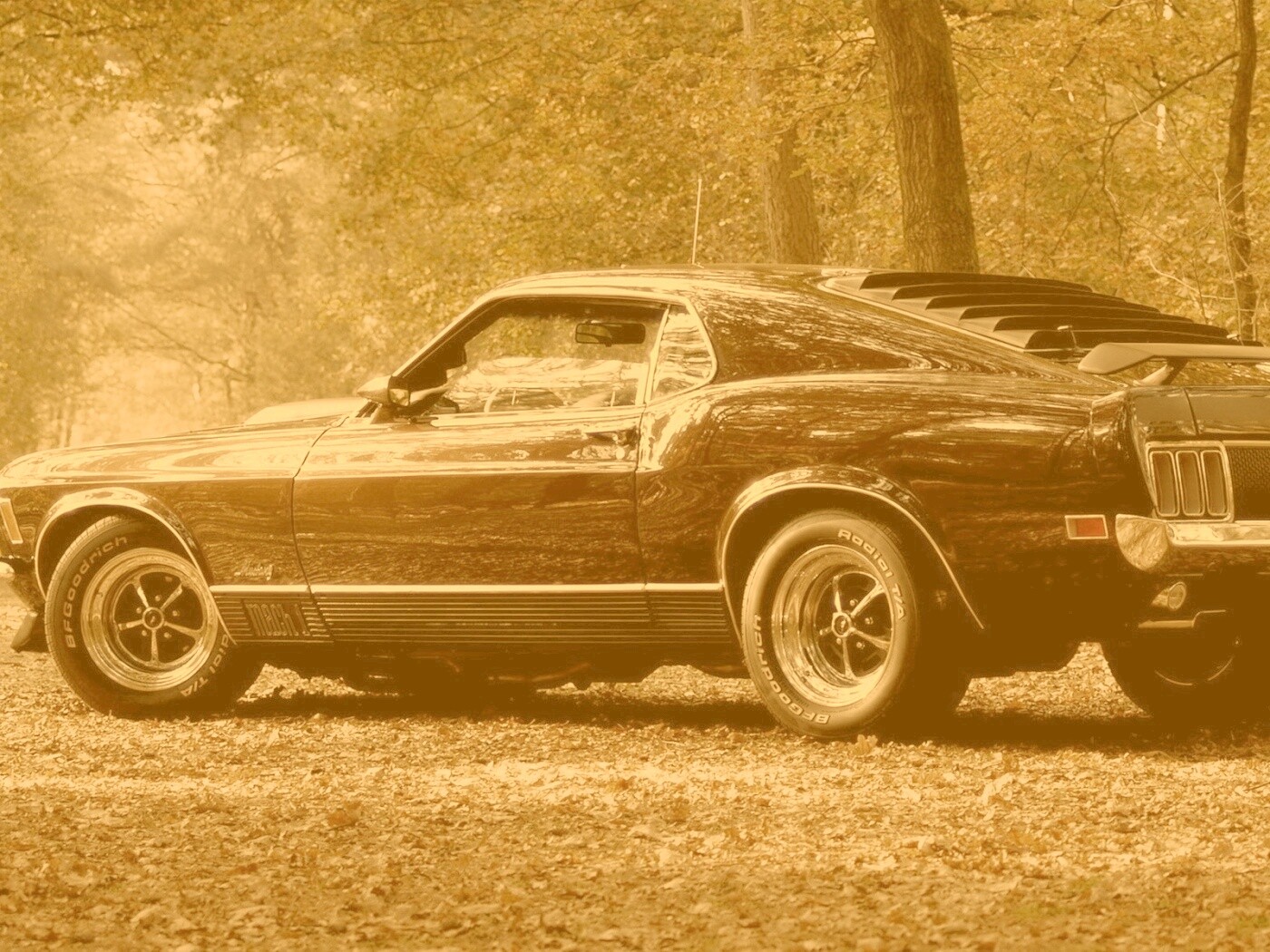 Ford обои