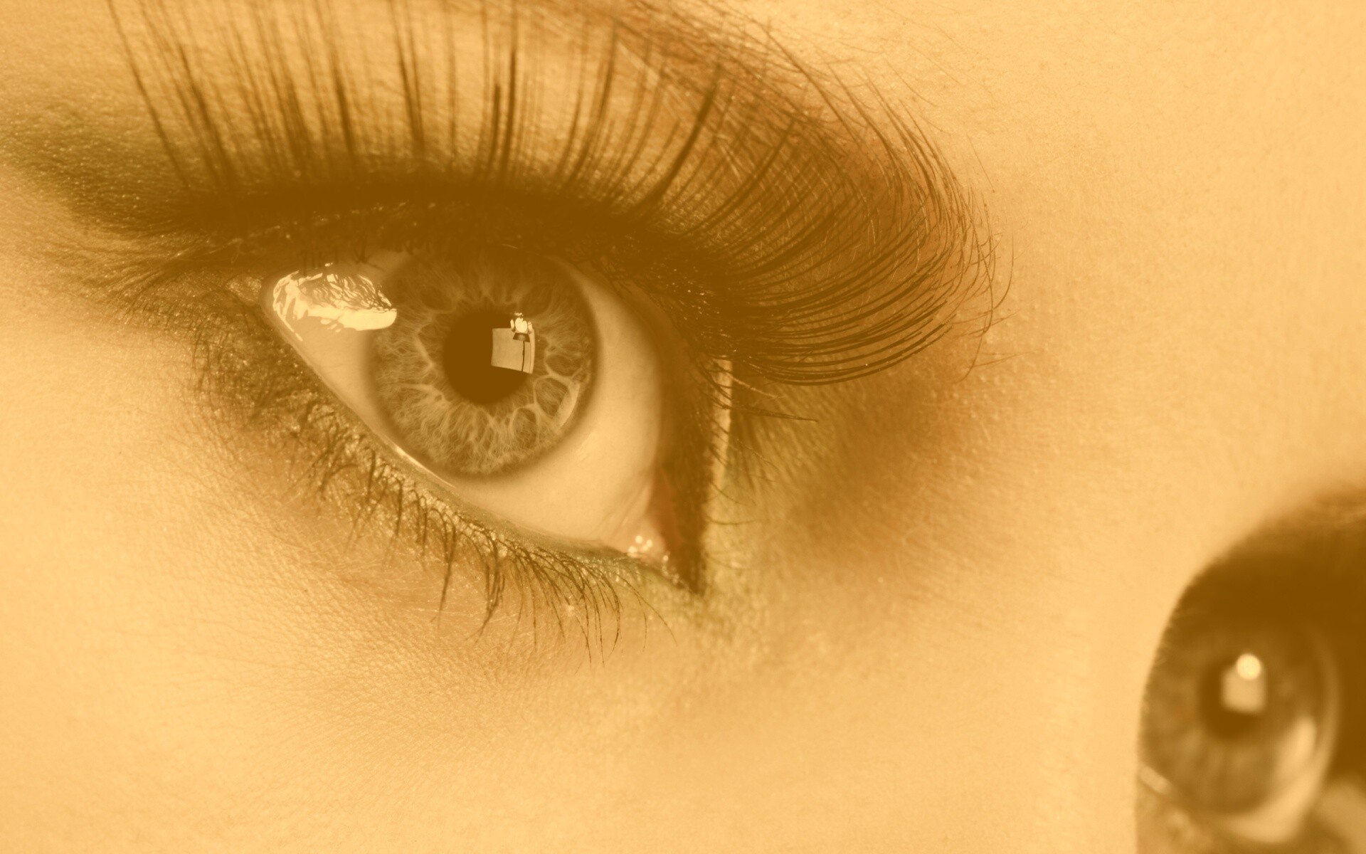 Глаза цвета стали обои