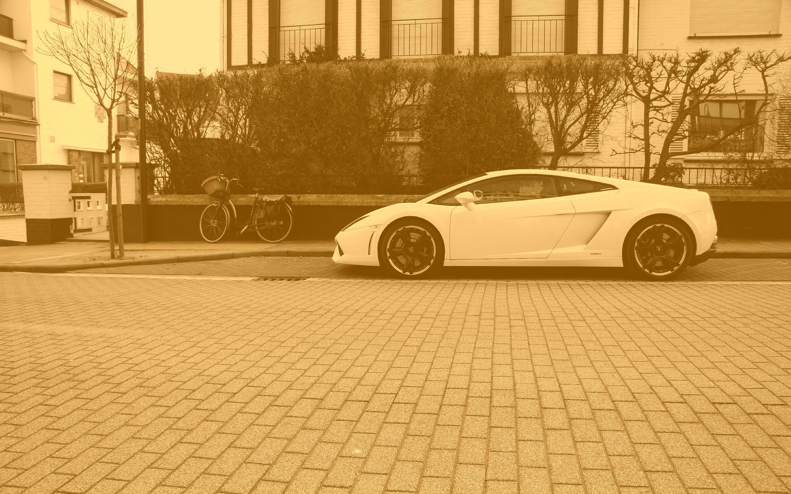 Белый Lamborghini обои