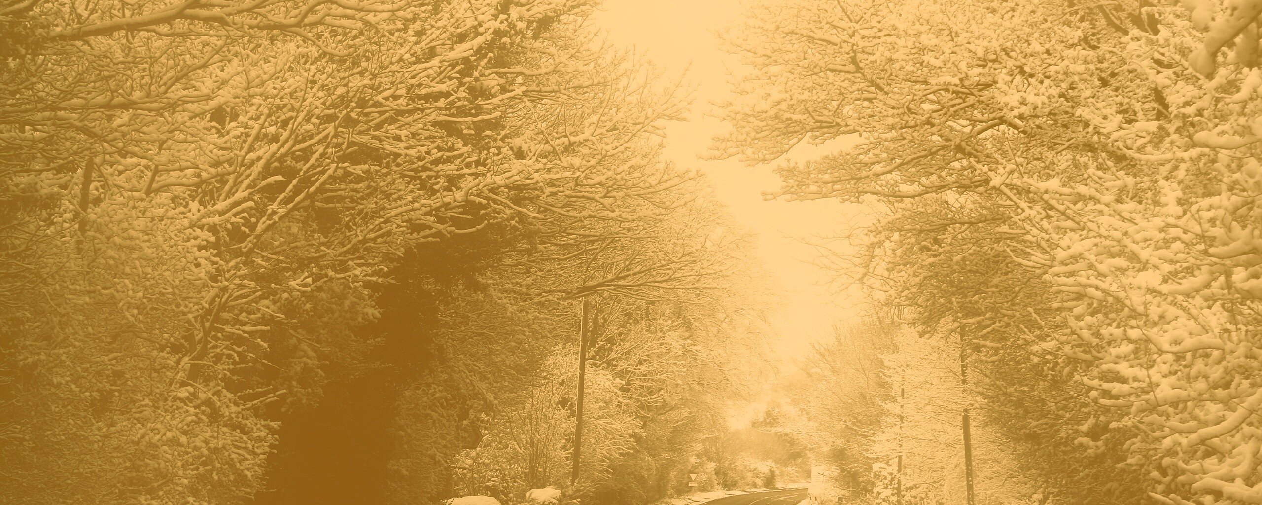 Зима обои