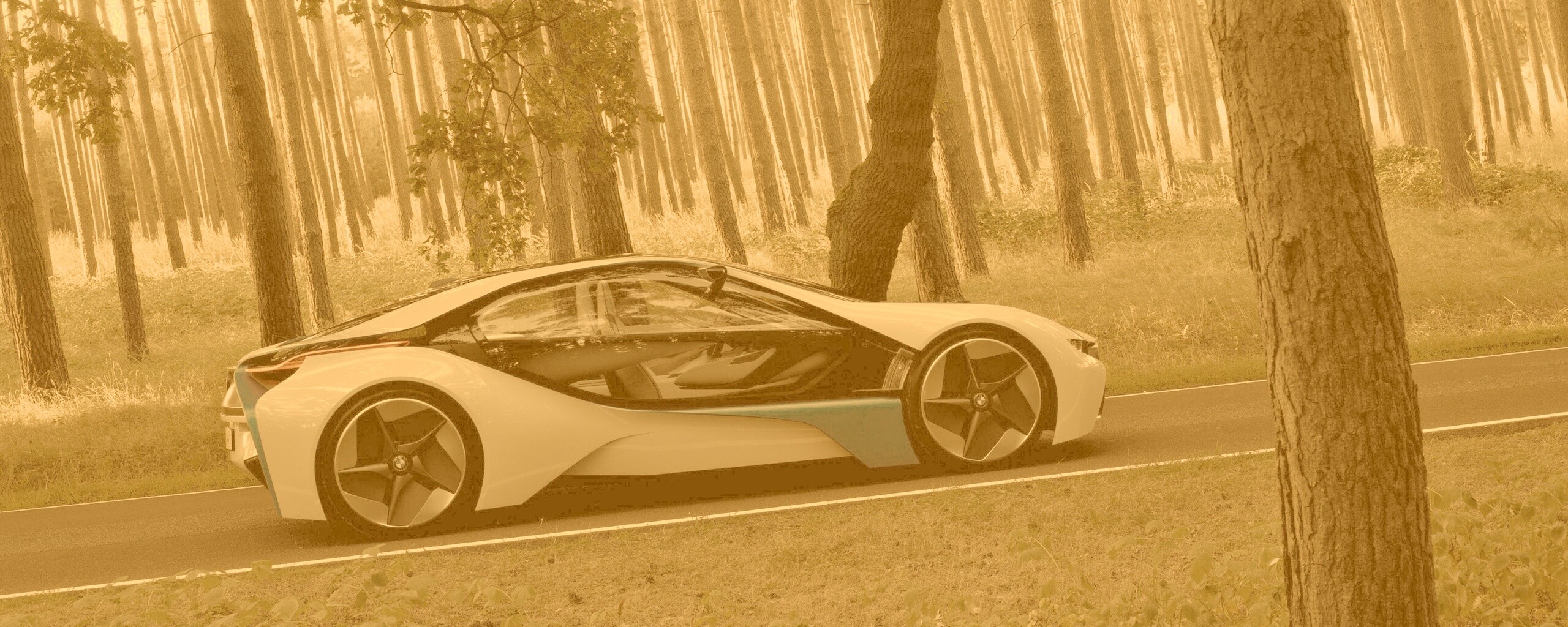 Спорткар BMW на лесной дороге обои