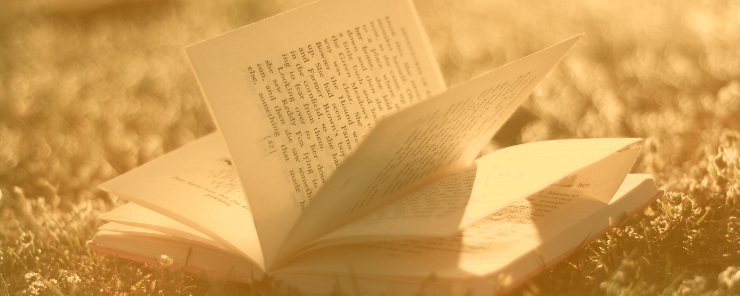Книга в нежном свете обои