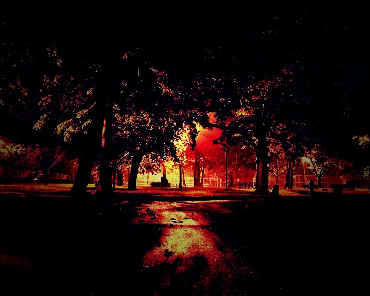 Фон в парке ночью