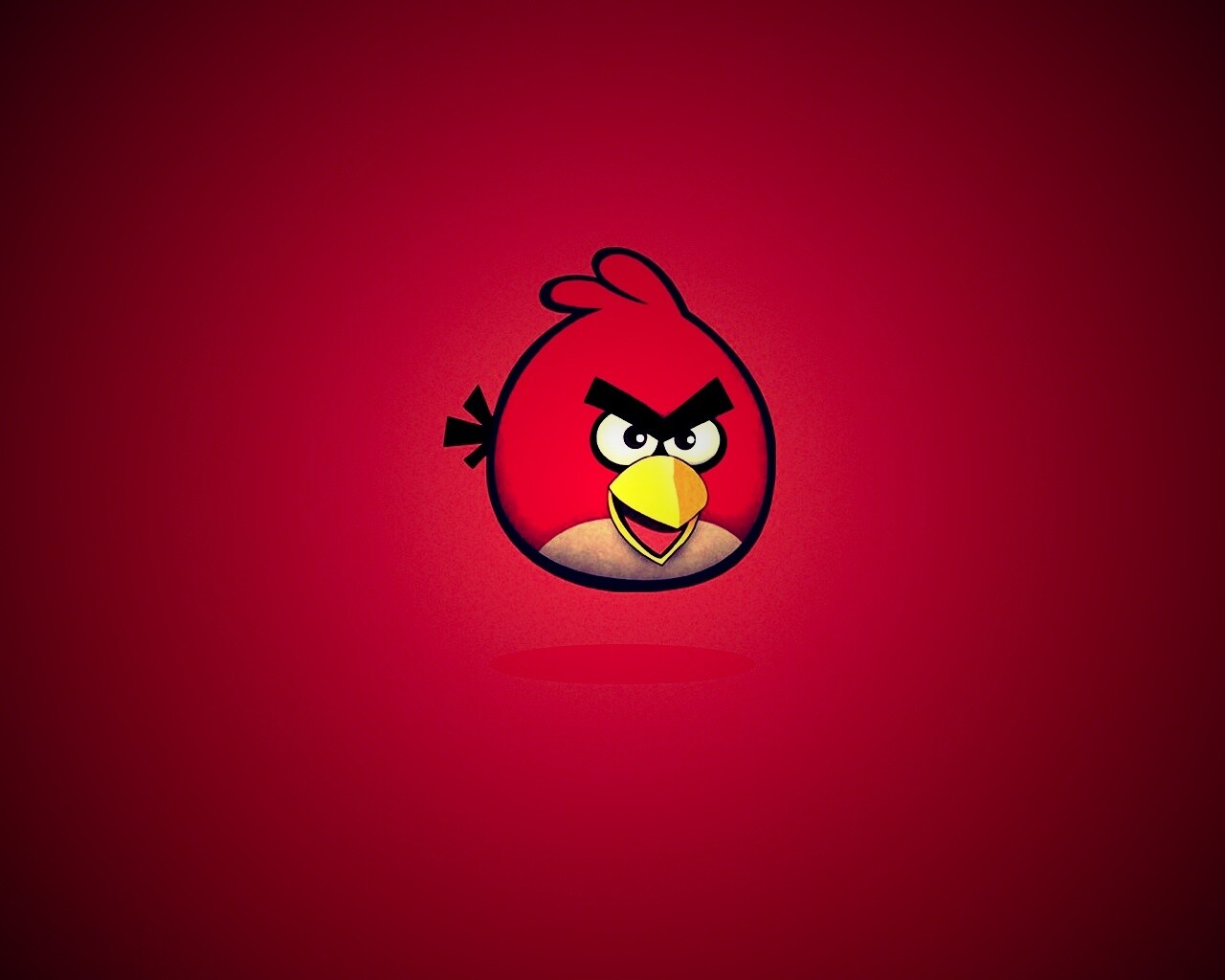 Красная птица из Angry Birds обои