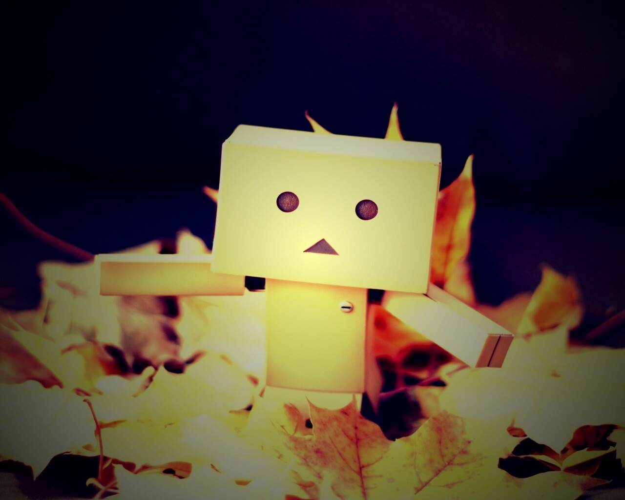  Yotsubato Danbo резвится листьях обои