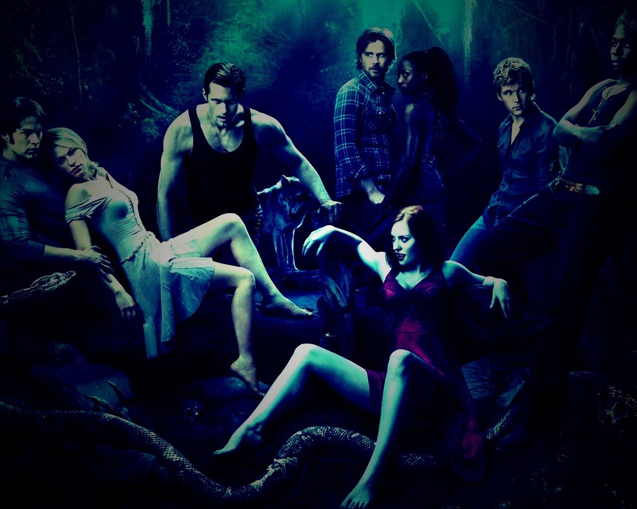 True blood обои