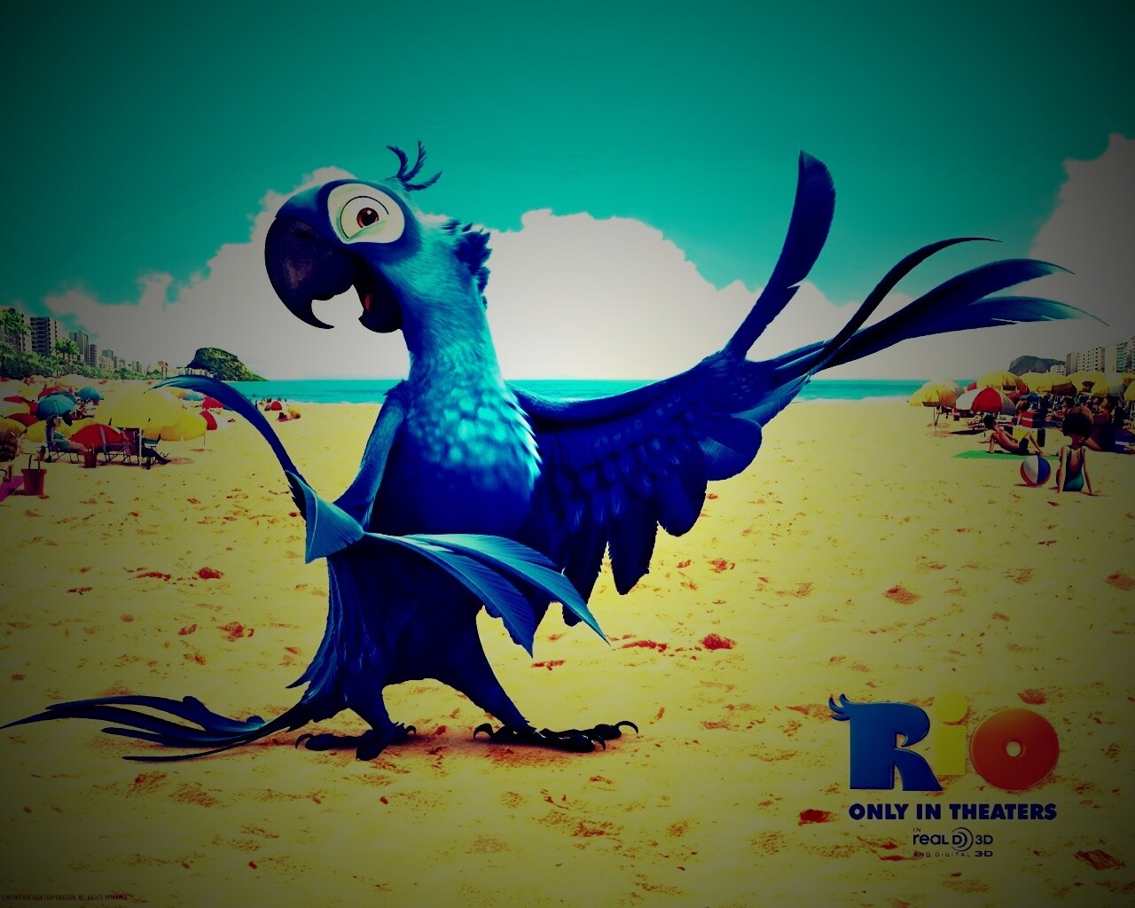 Blu из Rio обои